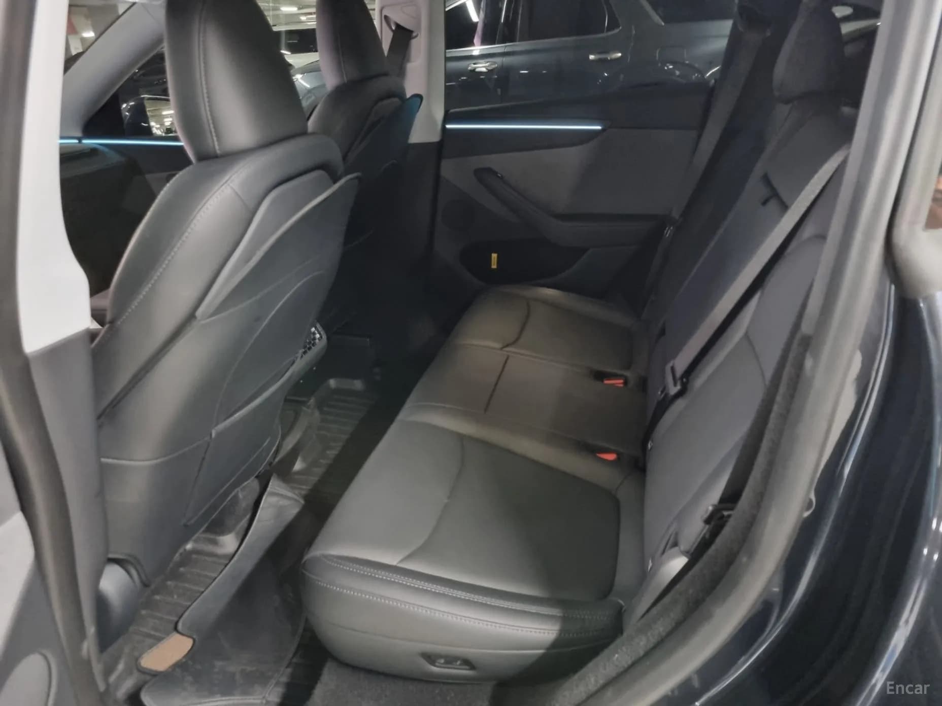 Model Y