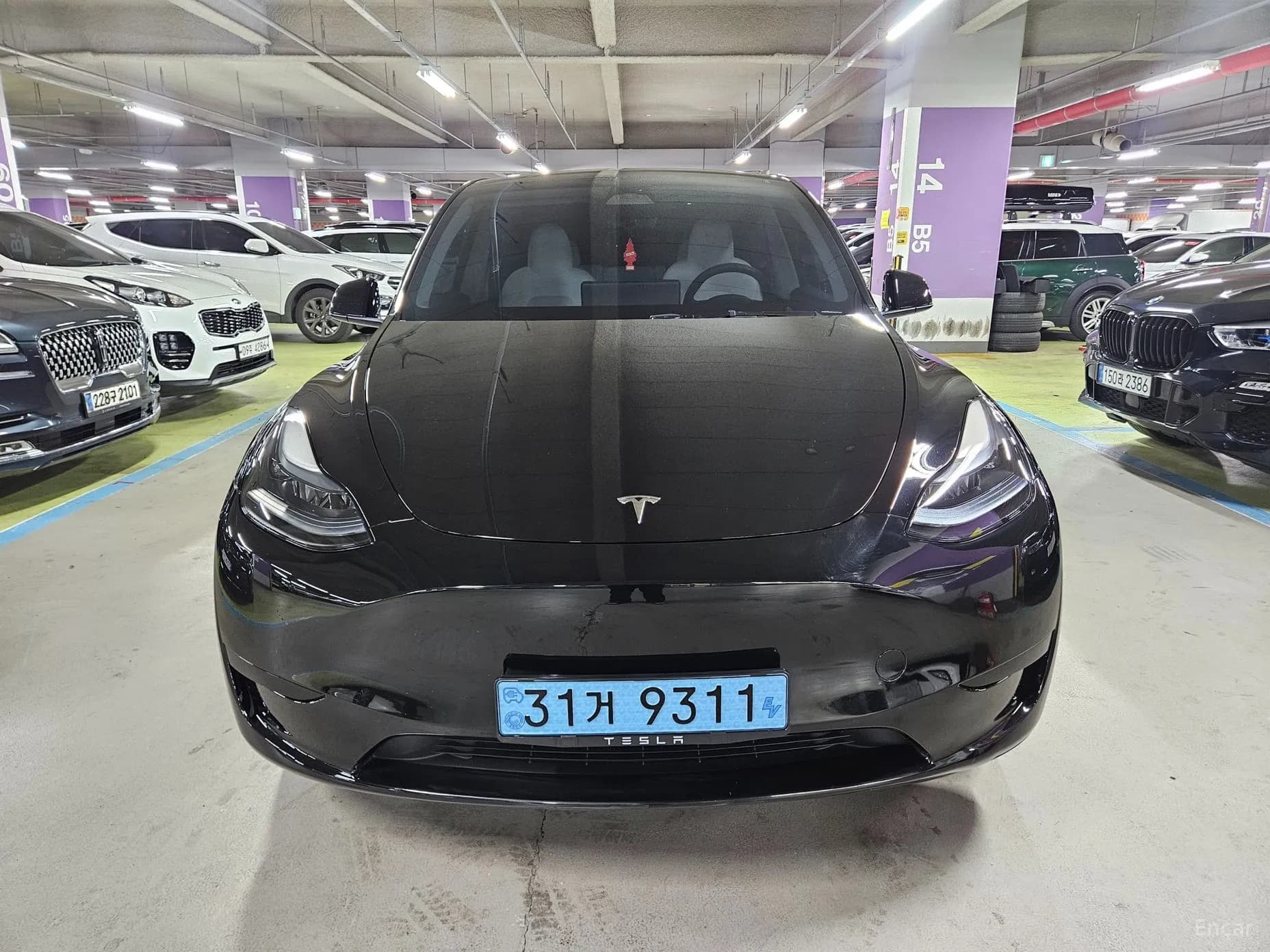 Model Y