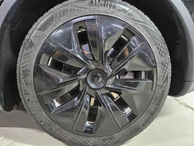 Model Y
