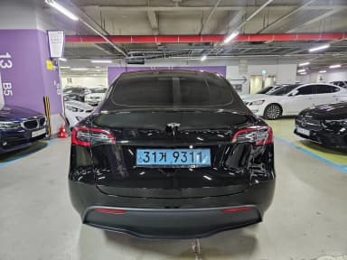 Model Y