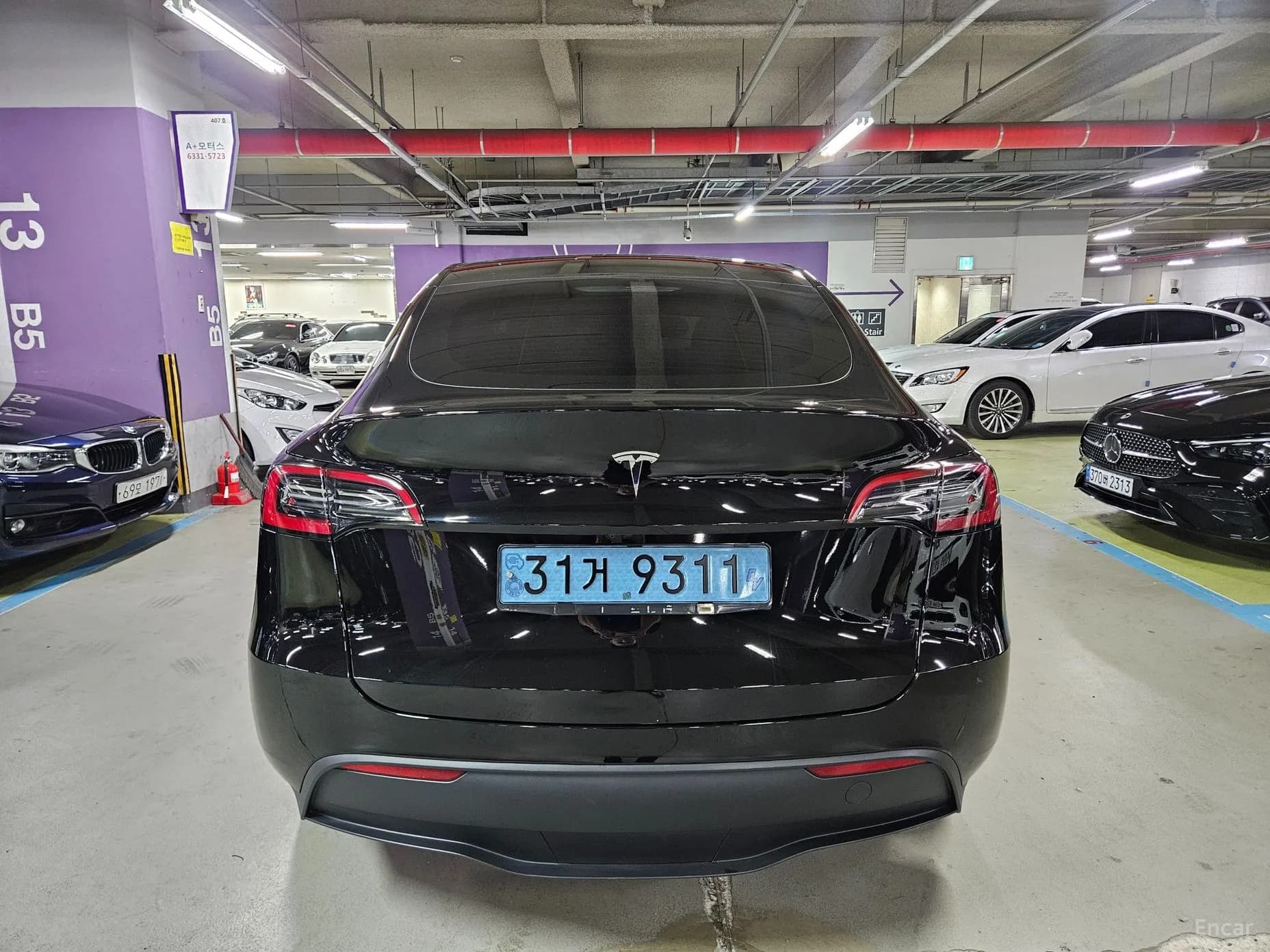 Model Y
