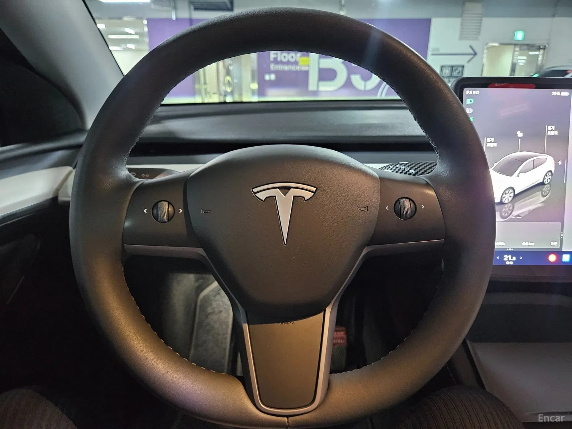 Model Y