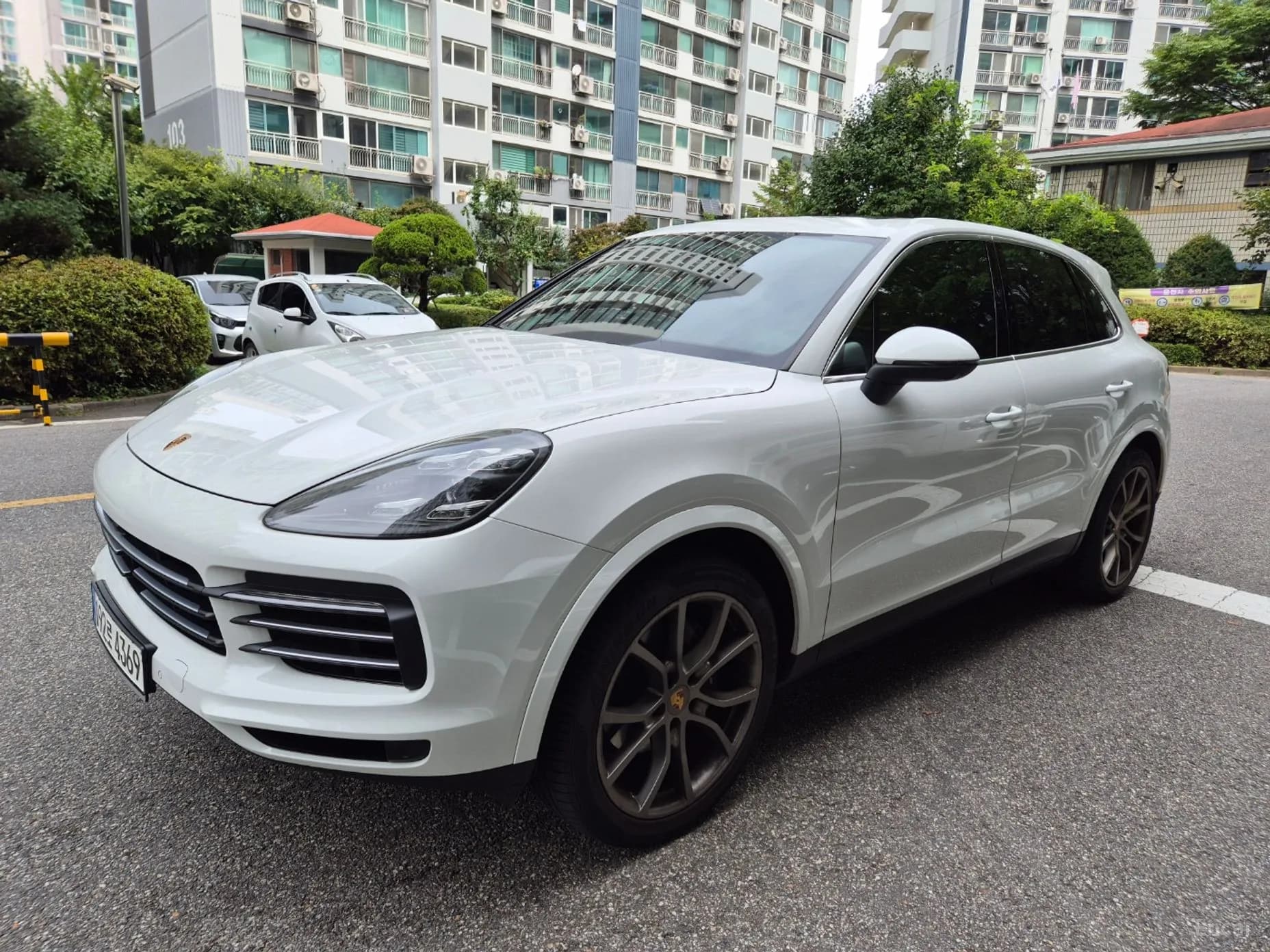 Cayenne (PO536)