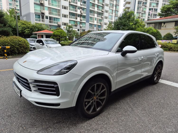 Cayenne (PO536)