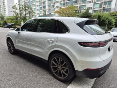 Cayenne (PO536)