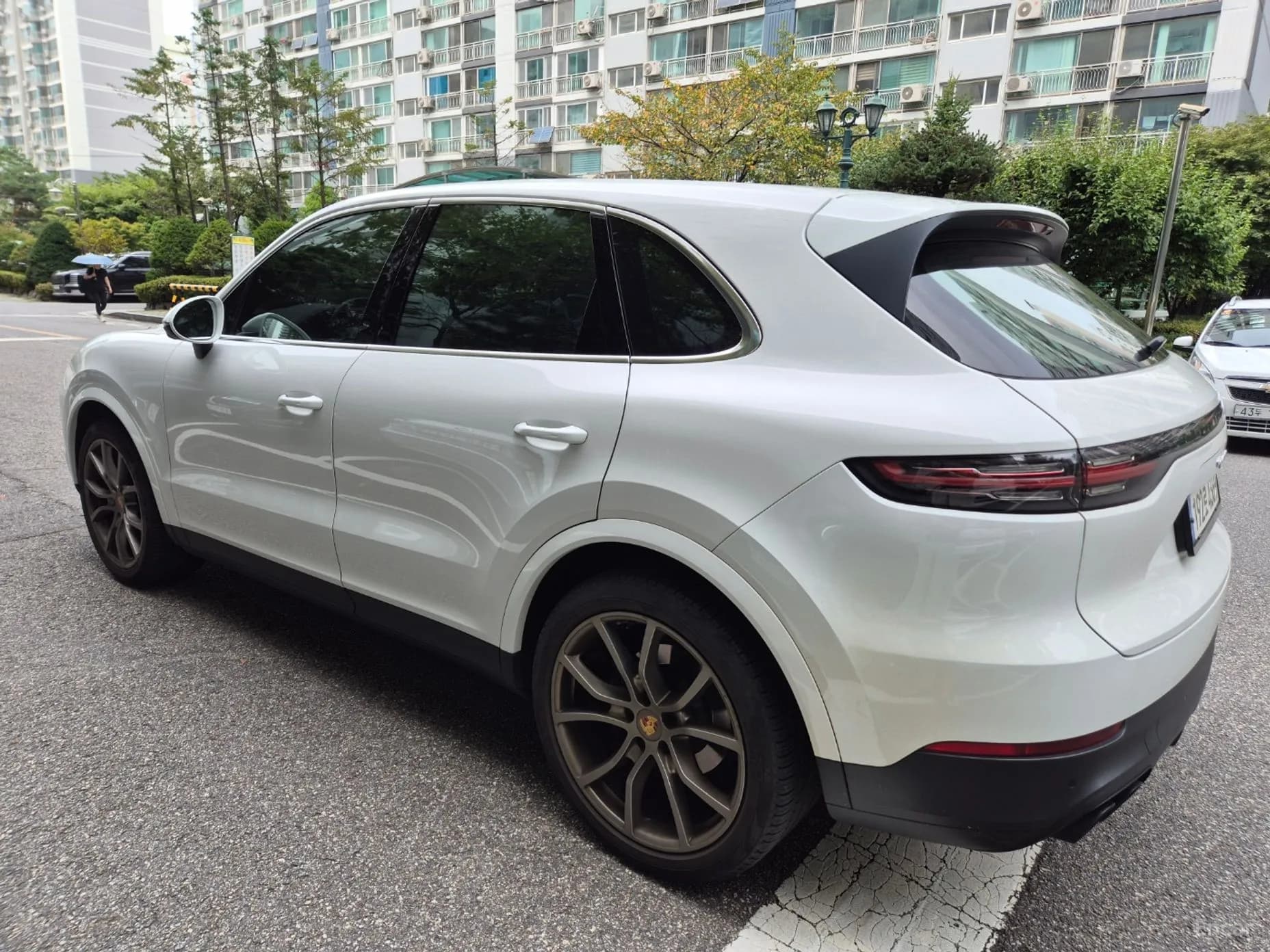 Cayenne (PO536)