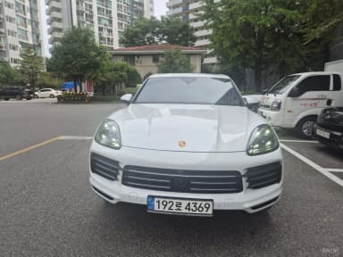 Cayenne (PO536)