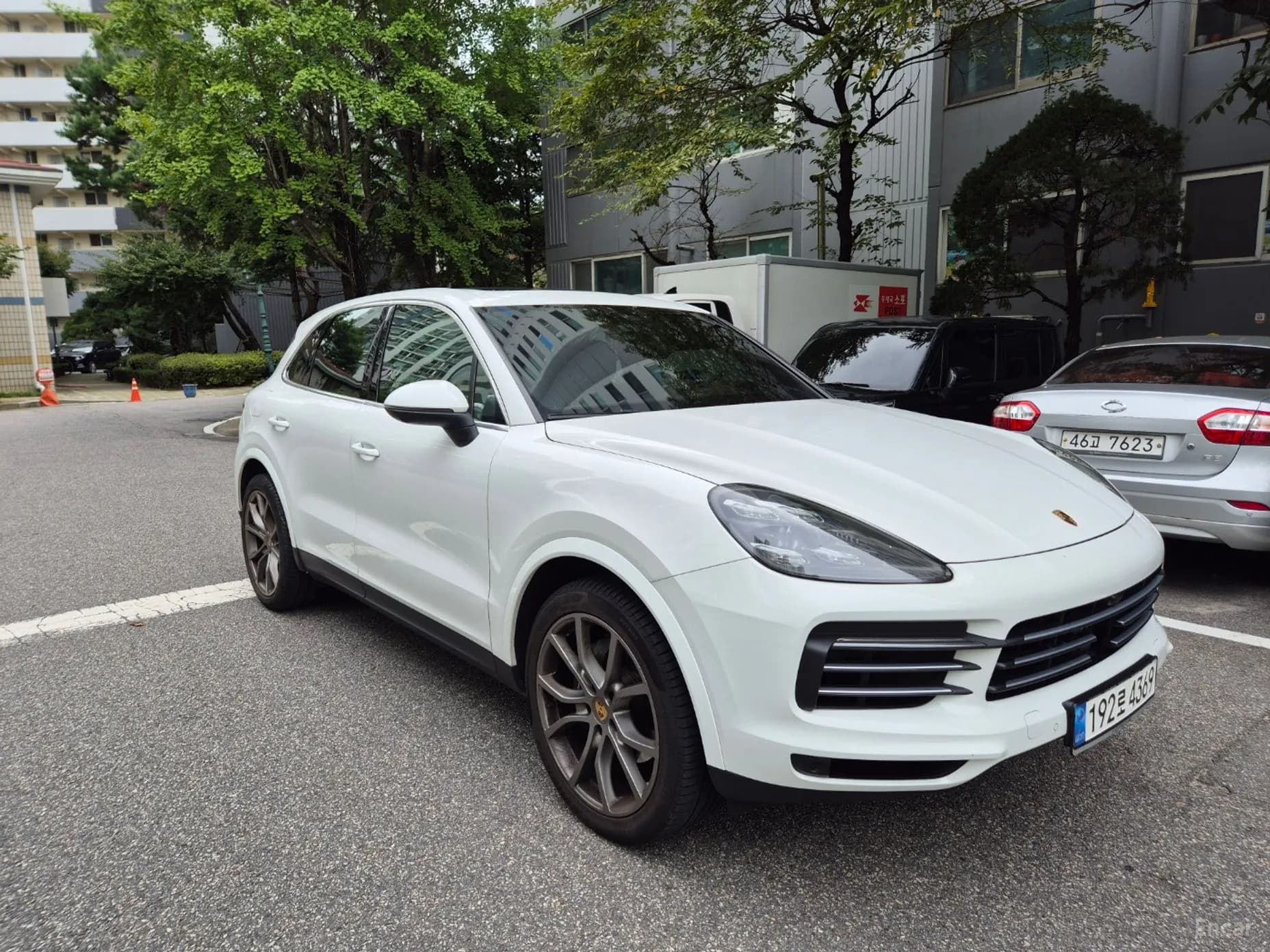 Cayenne (PO536)