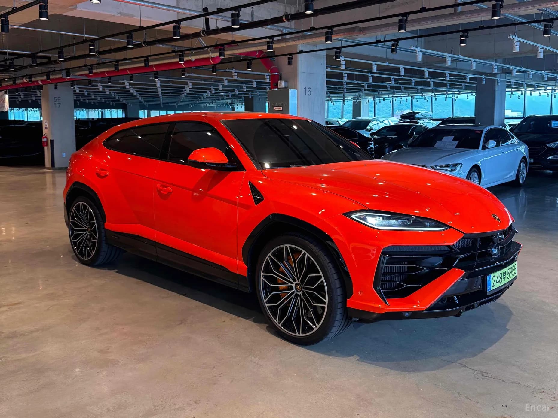 Urus