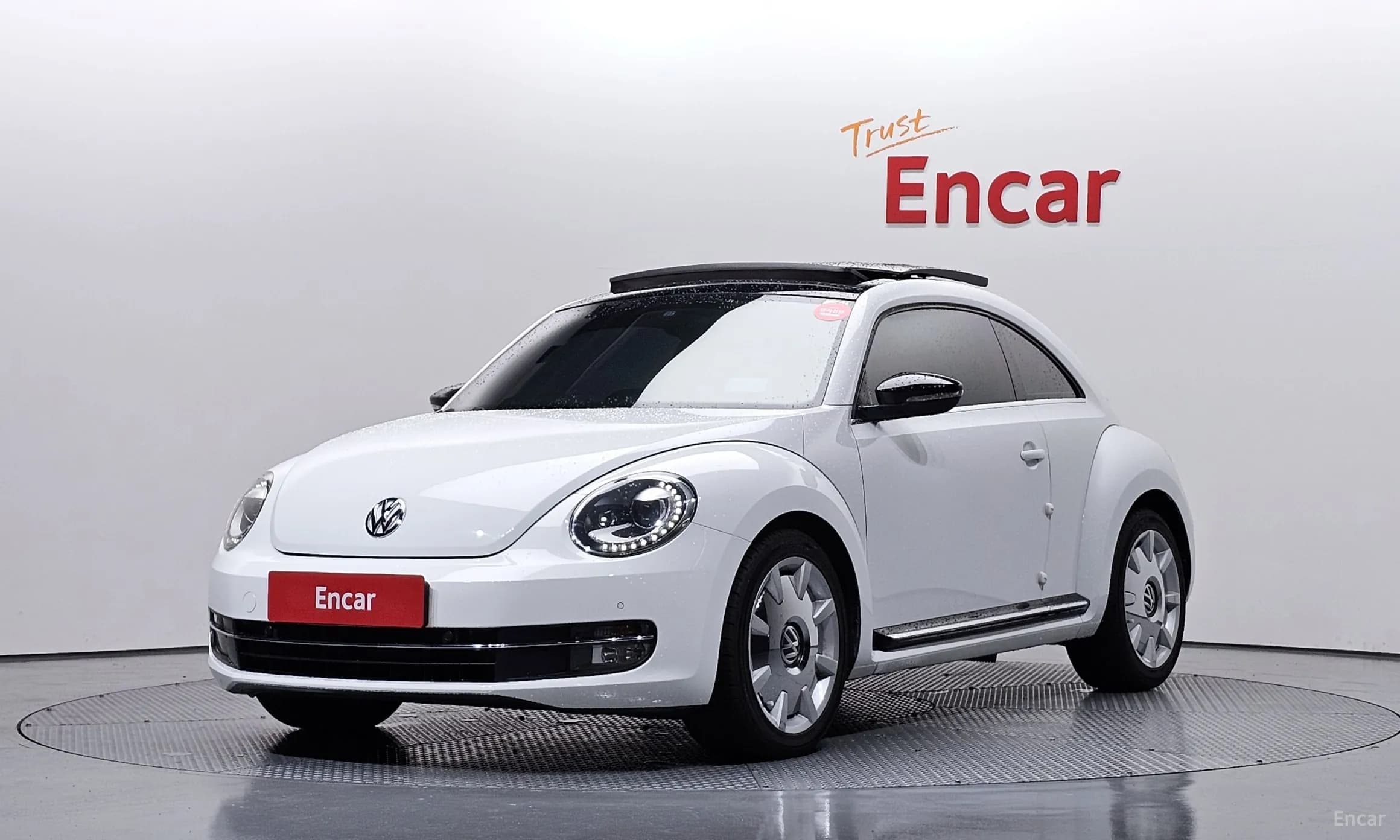 The Beetle