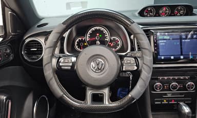 The Beetle