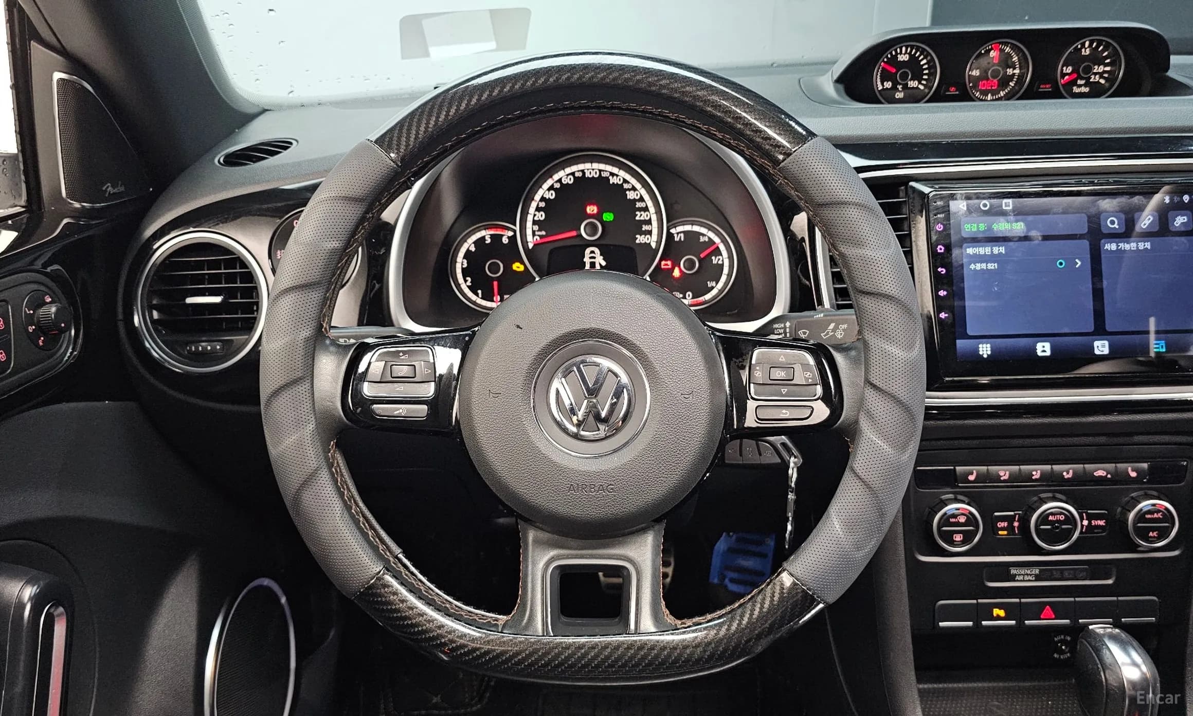 The Beetle