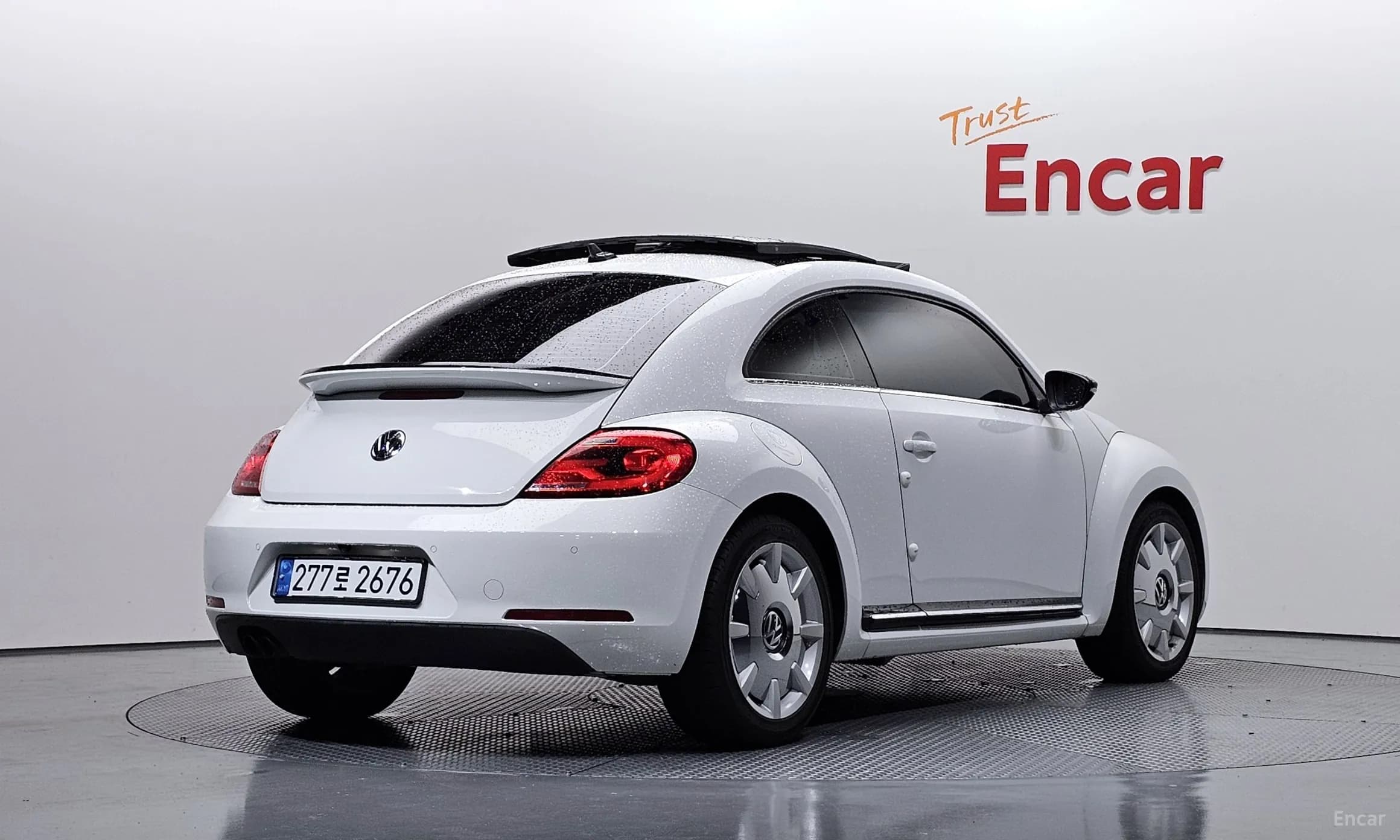 The Beetle