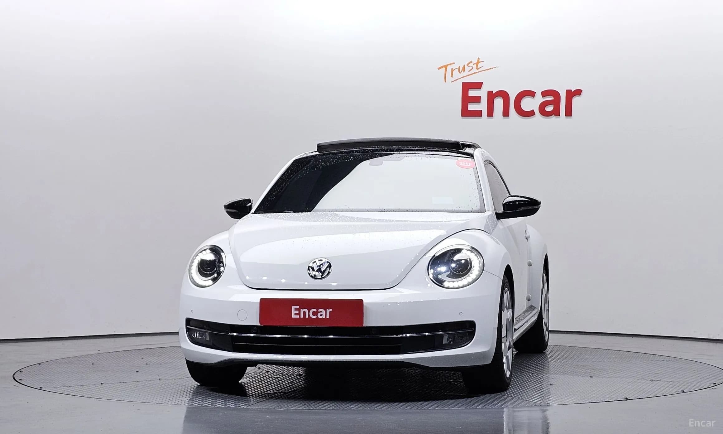 The Beetle