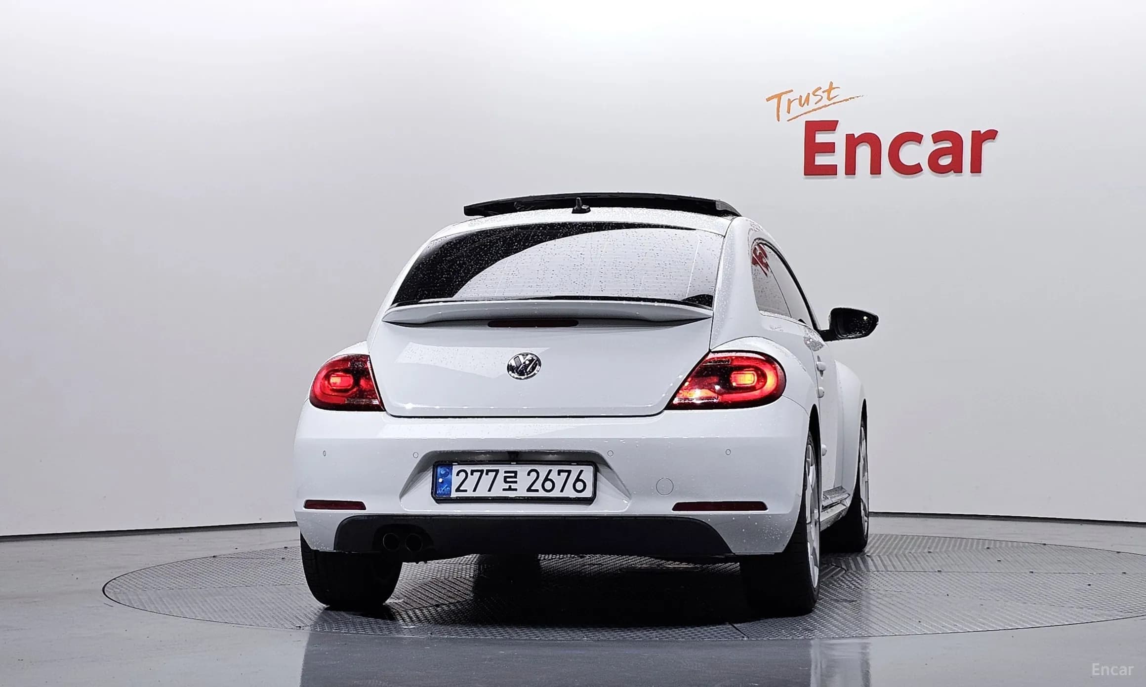 The Beetle