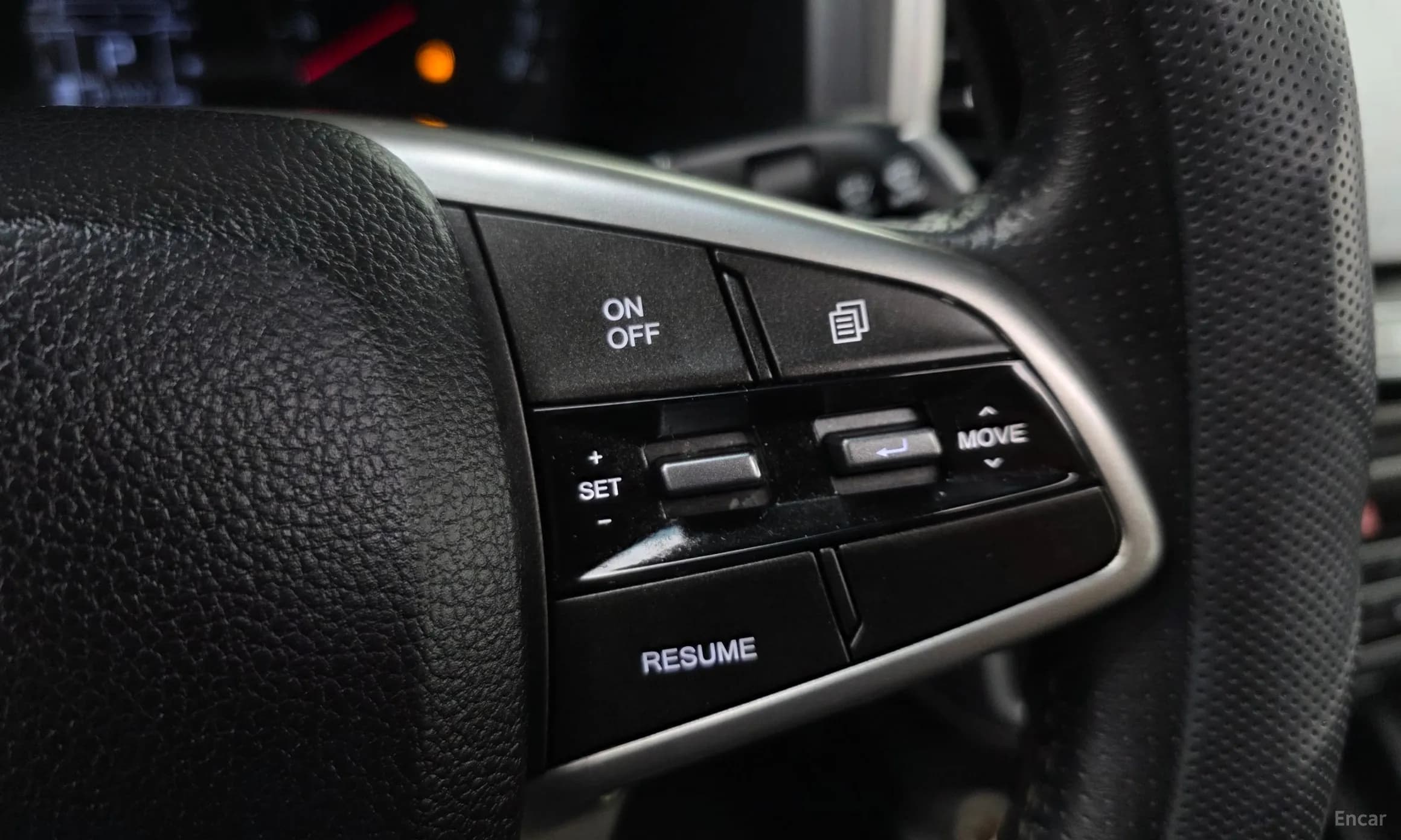 Rexton Sports