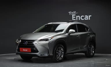 NX300h