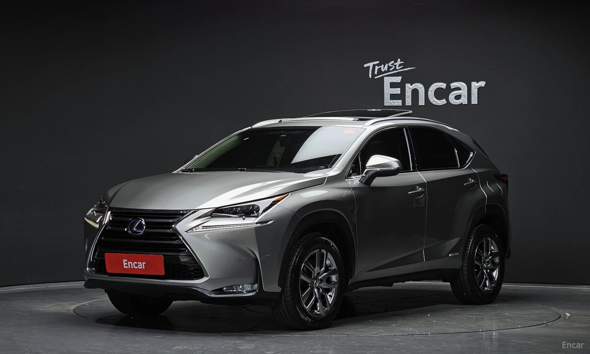 NX300h