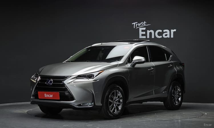 NX300h