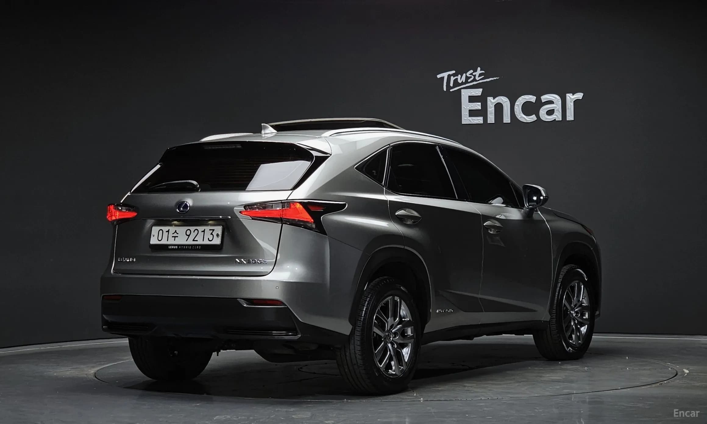 NX300h