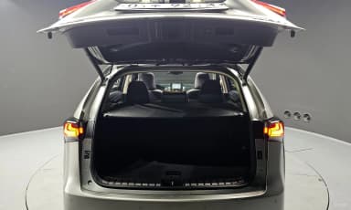 NX300h