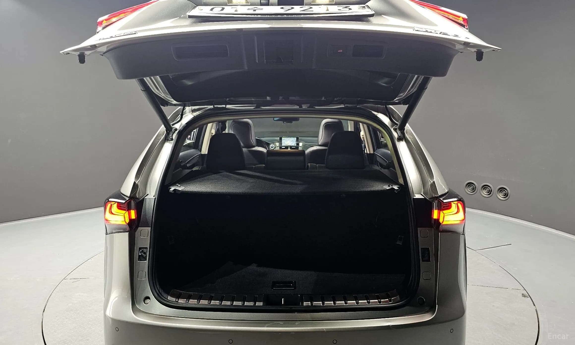 NX300h