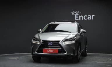 NX300h