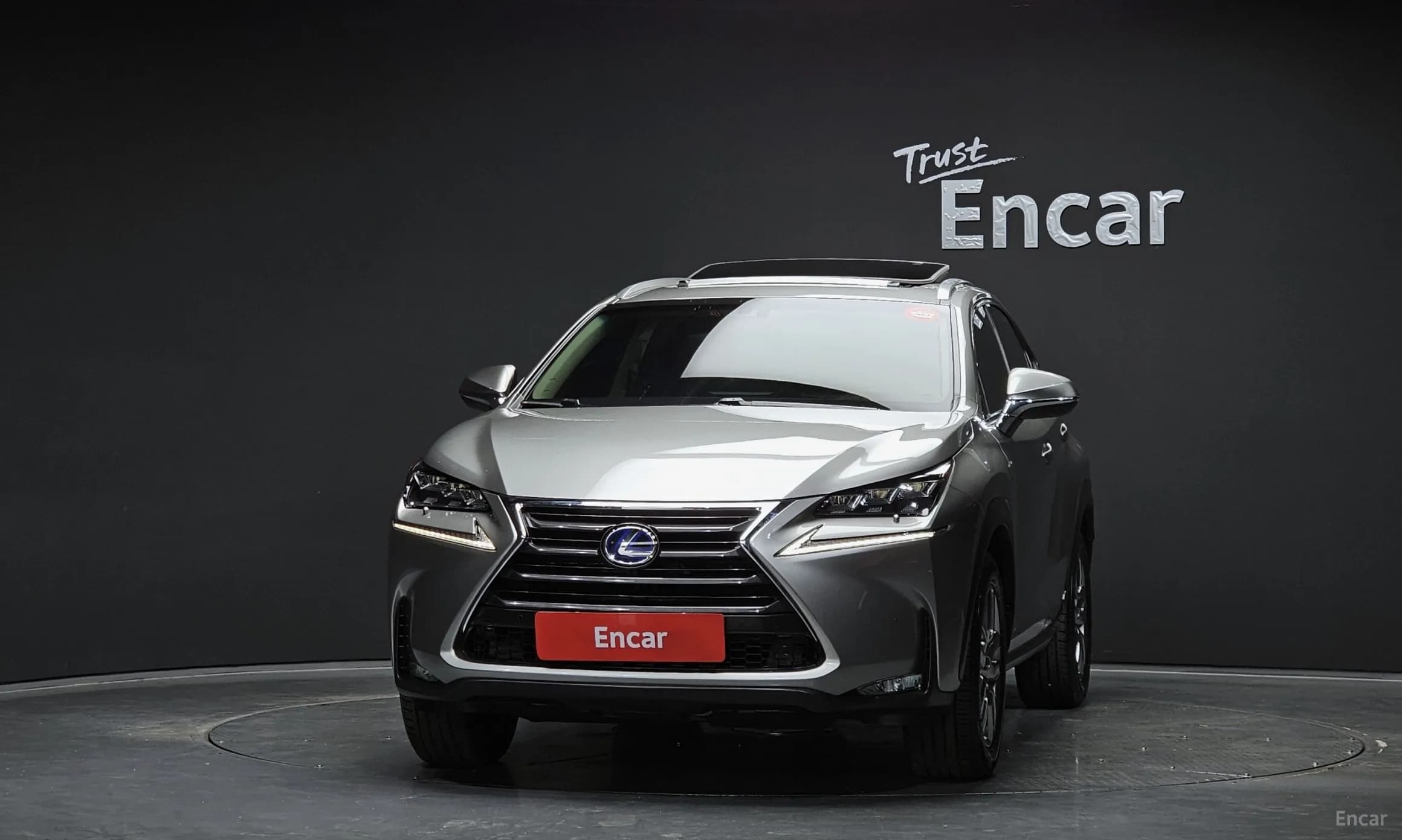 NX300h