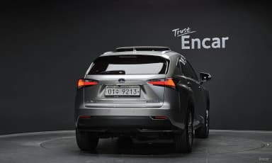 NX300h