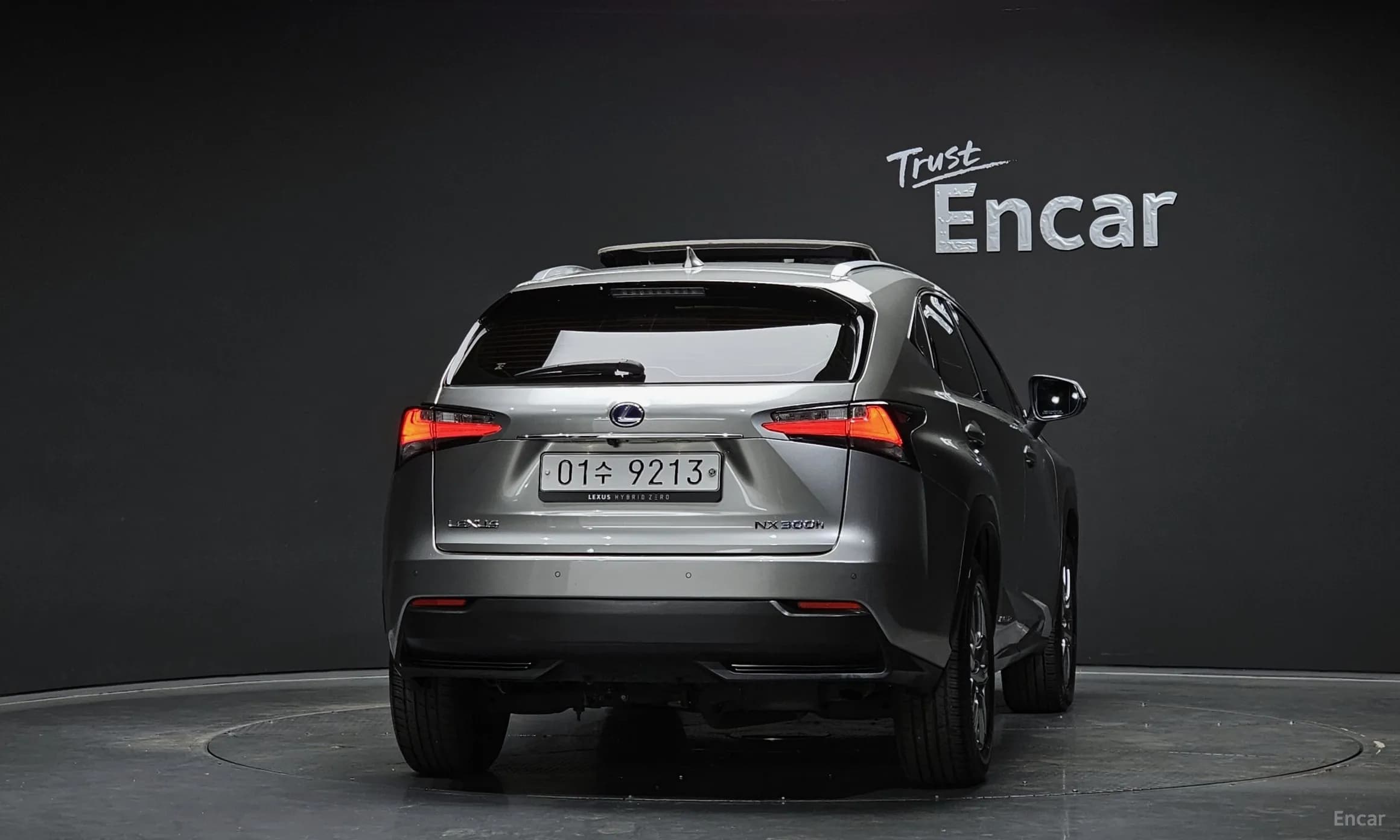 NX300h