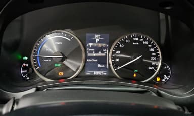NX300h