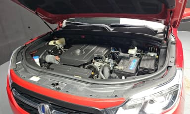 Rexton Sports