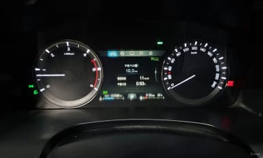 Rexton Sports