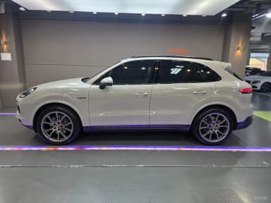 Cayenne (PO536)
