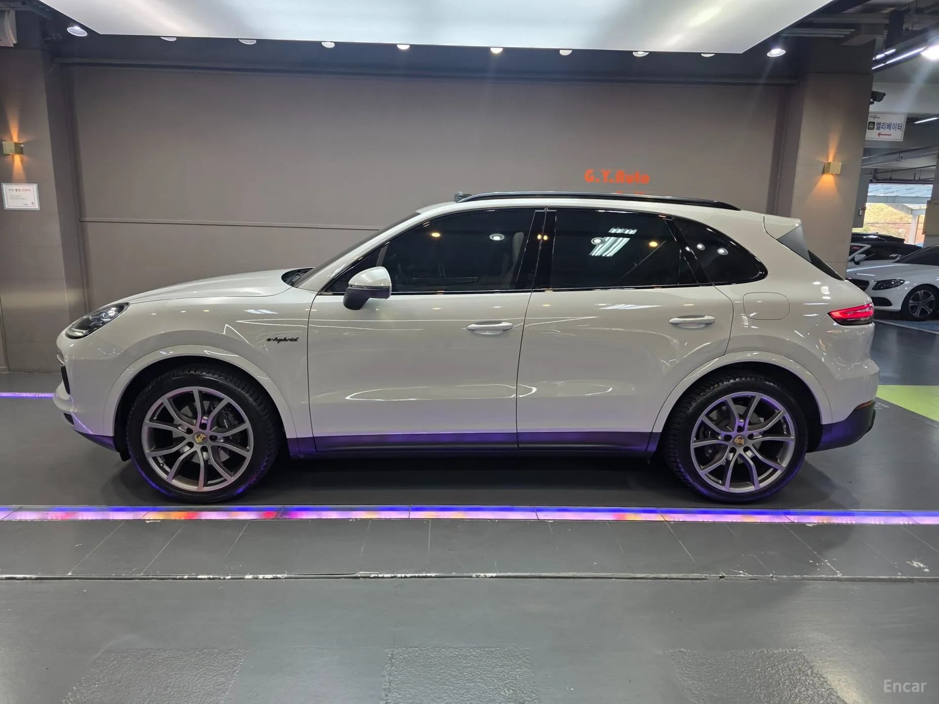 Cayenne (PO536)