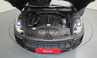 Macan