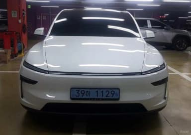 Model Y