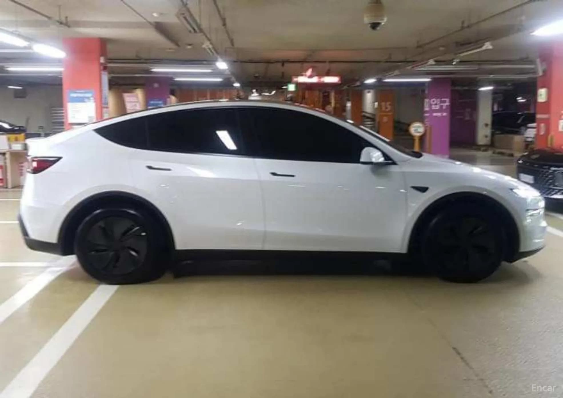 Model Y