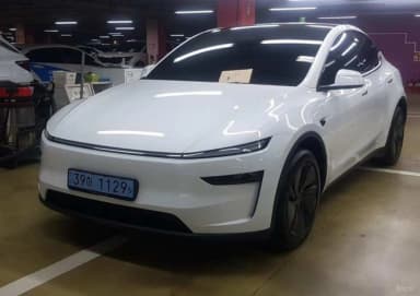 Model Y