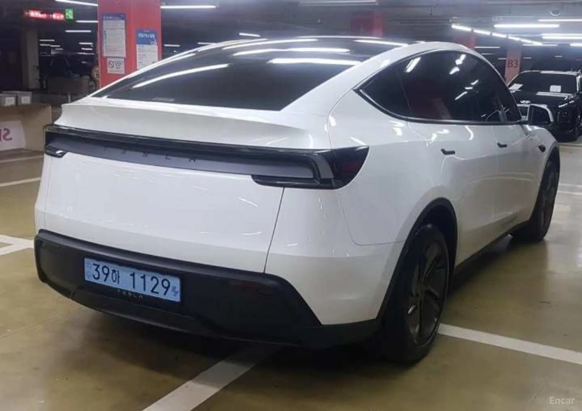 Model Y