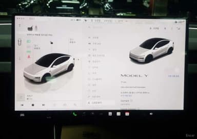 Model Y