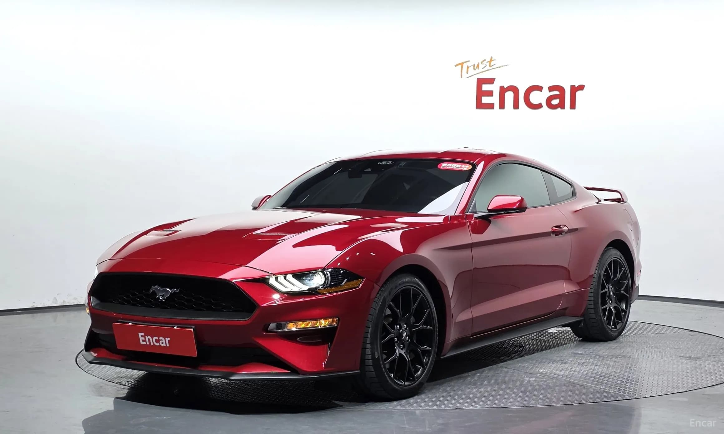 Mustang