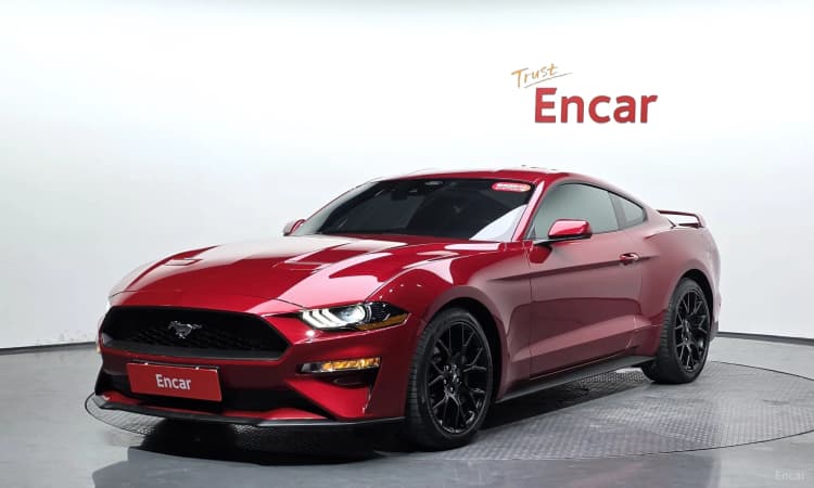 Mustang