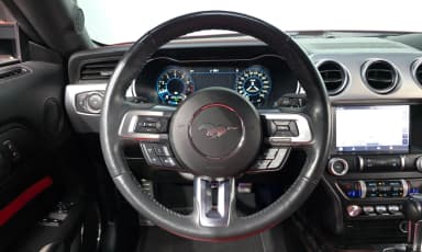 Mustang