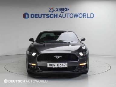 Mustang