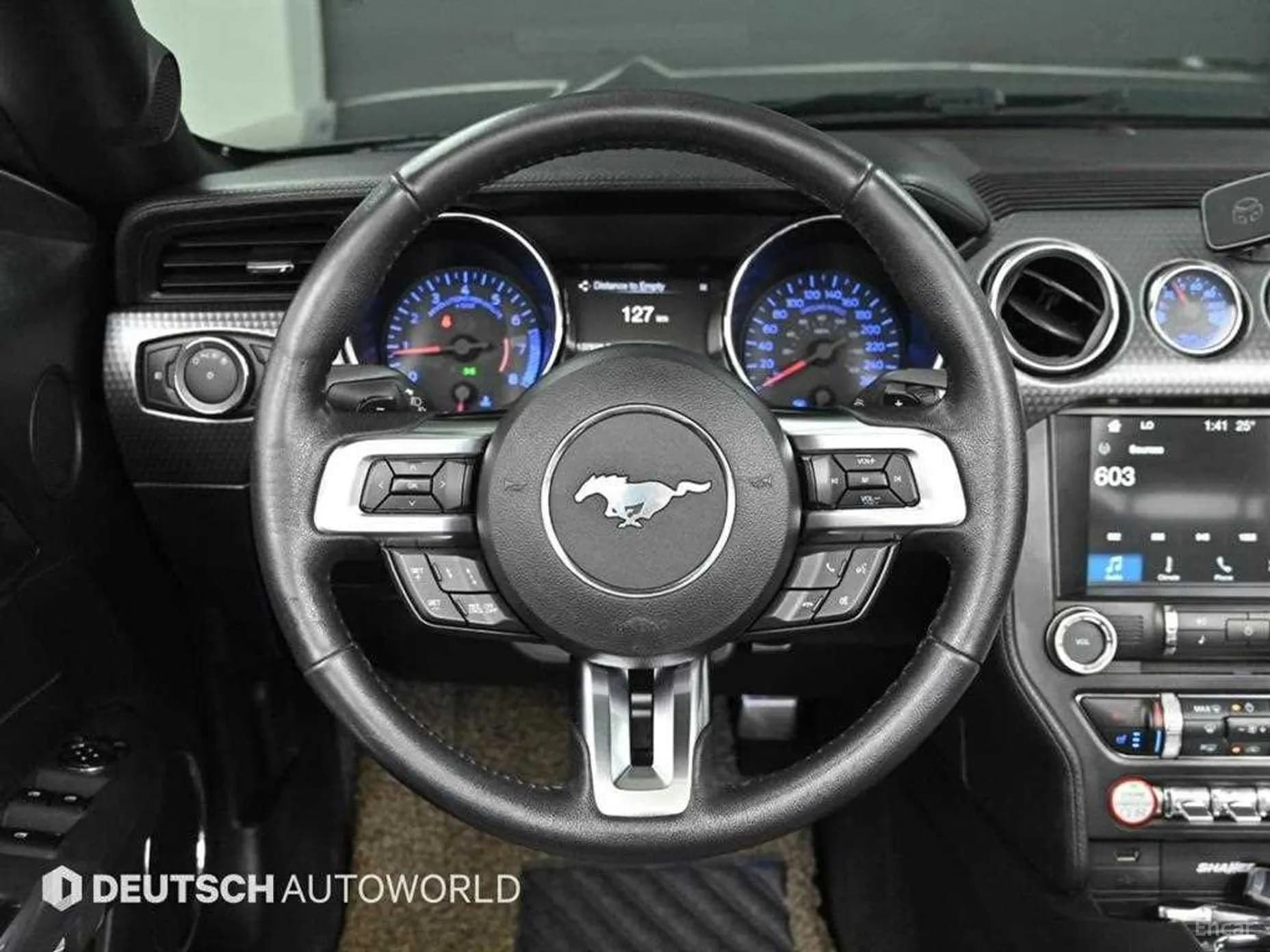 Mustang