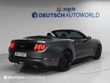 Mustang