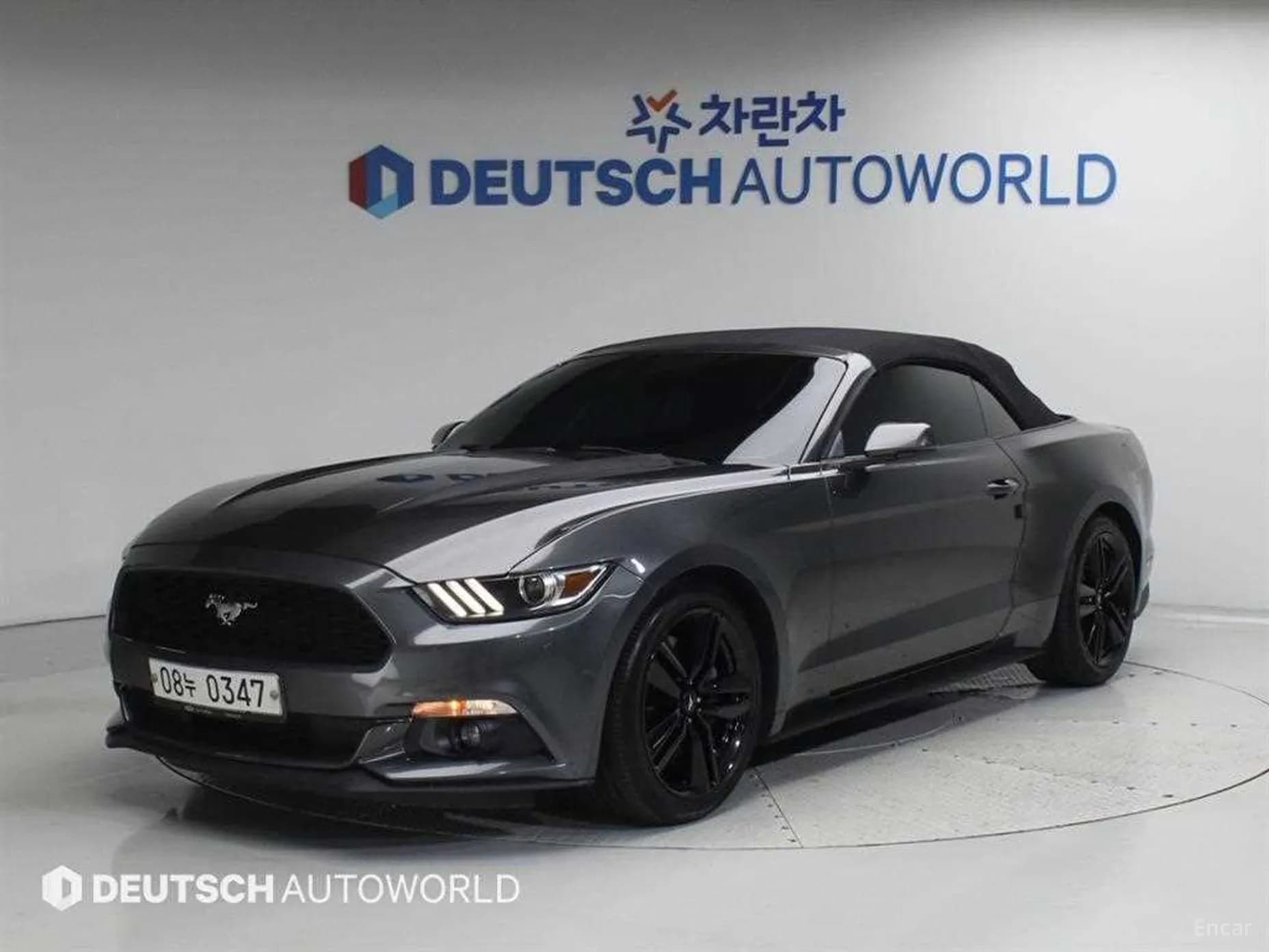 Mustang