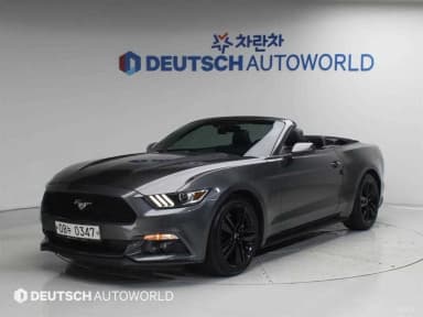 Mustang