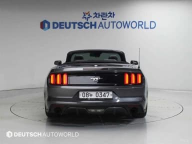 Mustang